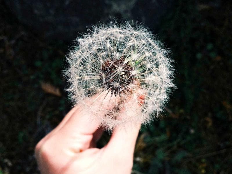 NEW Build — Express Tunnel Wash Package