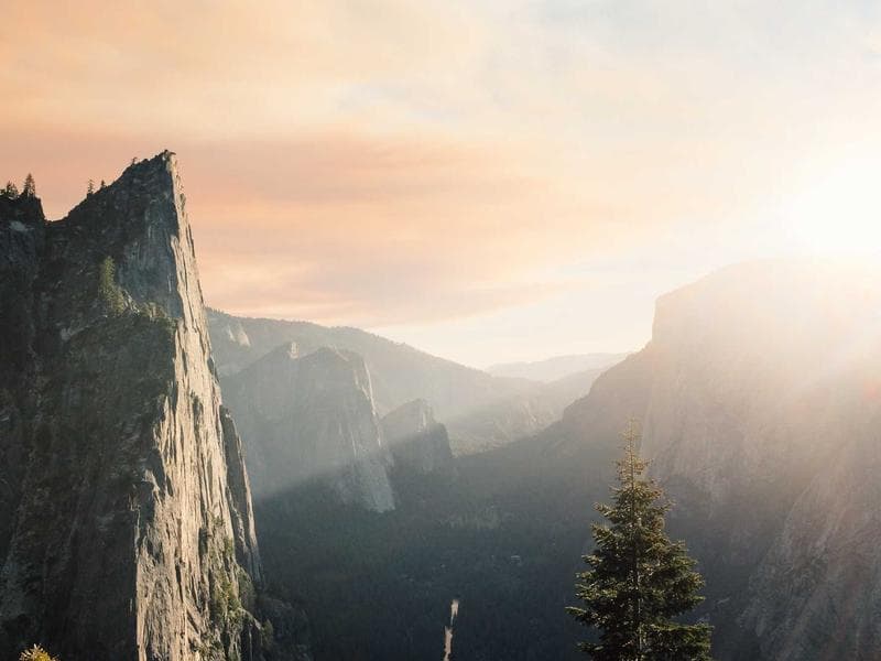 Flex-Serve Wash — Tunnel + Detail Bays