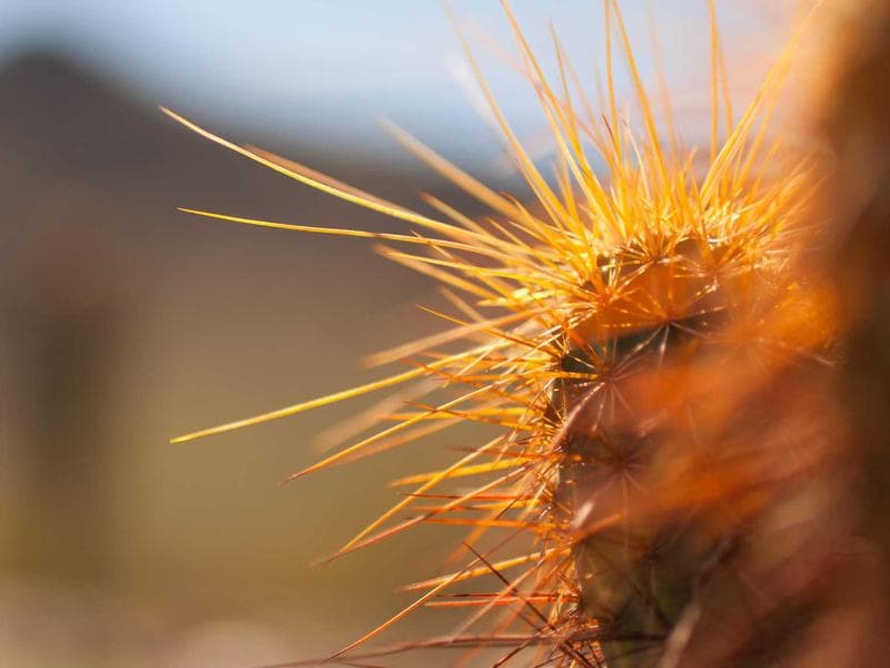 PDQ LaserWash G5 — Refurbished with Warranty — WI