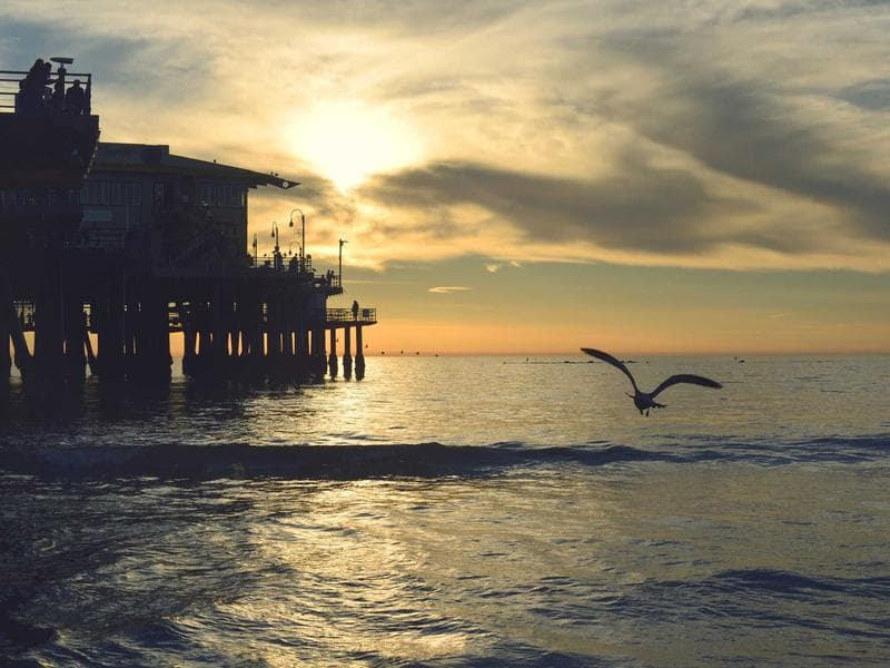 2022 Washworld Profile — Touchless In-Bay Automatic