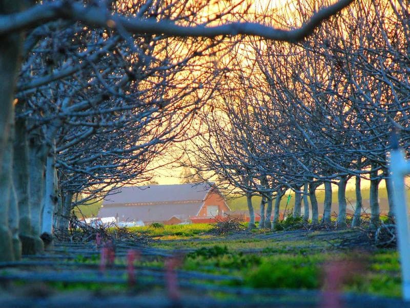 (4) Token Acceptors — Imonex Quarter/Token Combo — Good Condition