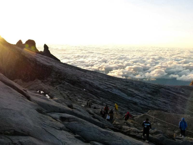 DRB SiteWatch POS System — Complete — UT