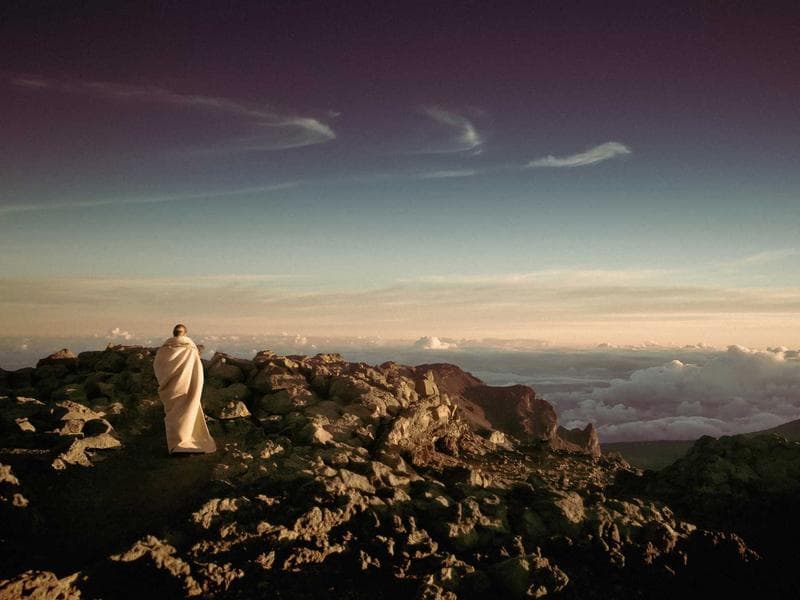 Dencar Auto Sentry Flex — Pay Station — New