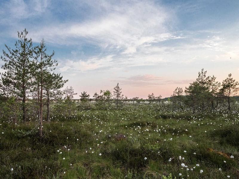 CryptoPay Swipe — Retrofit Card Reader