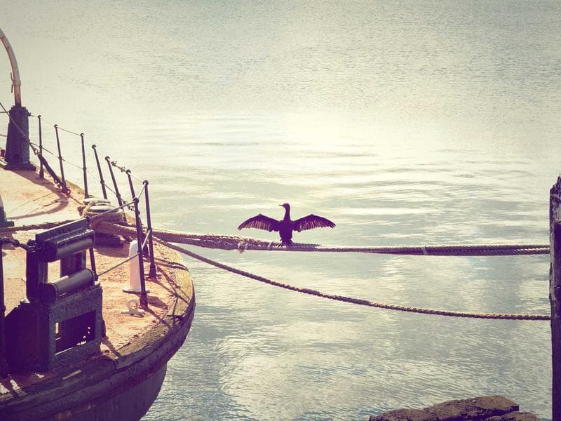 (8) Self-Serve Wands and Guns — Stainless