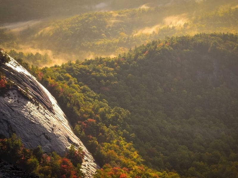 National Pride Self-Serve Bay Package — Good Condition