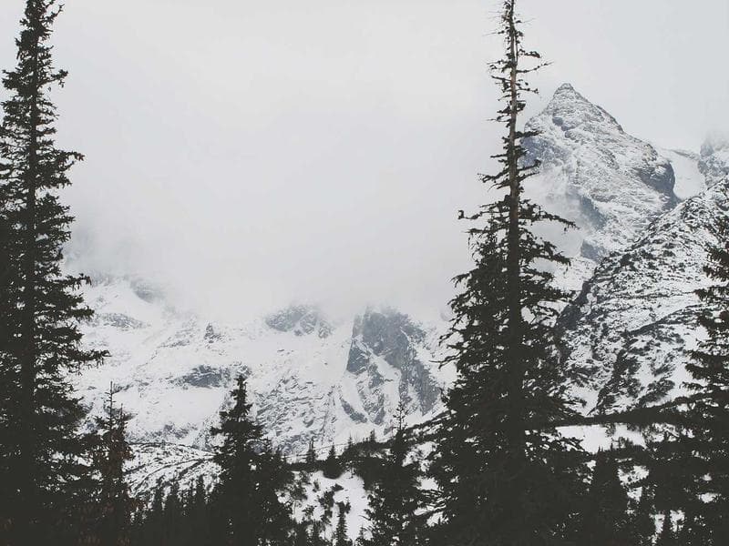 Complete Self-Serve Chemical Delivery System — Good Condition