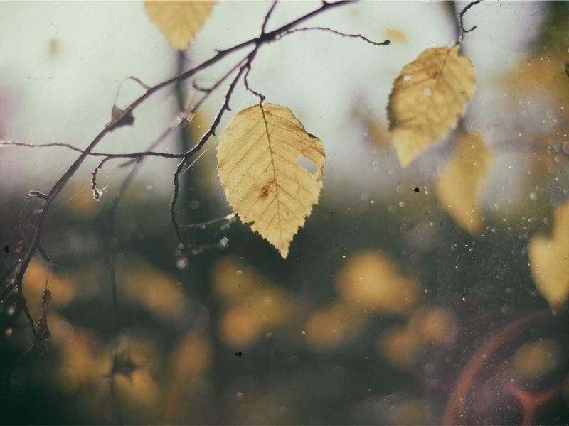 Sonny's Side Washer Pair — High-Pressure — MN