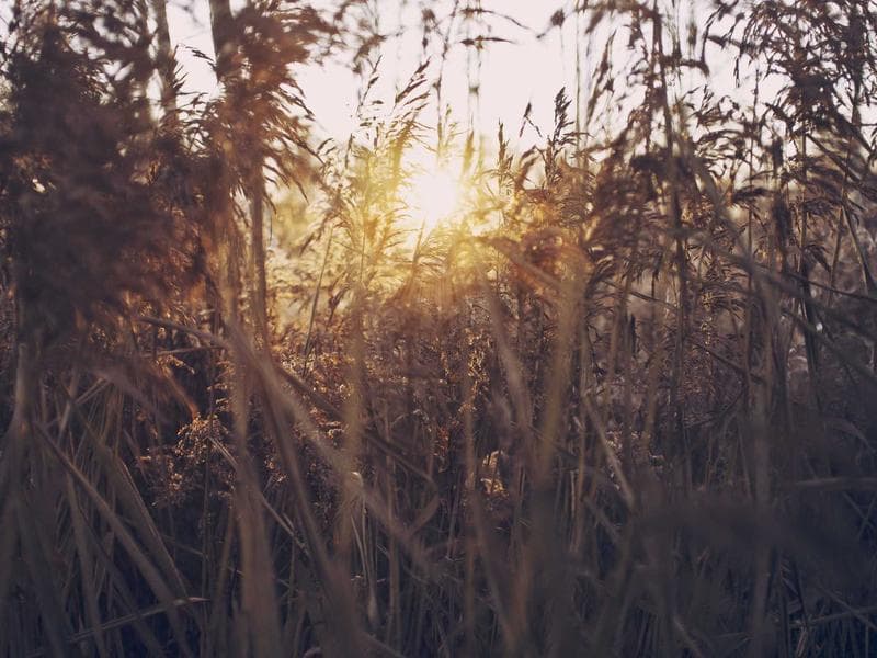 2023 Vacuum Island Canopy — Aluminum, 6-Position