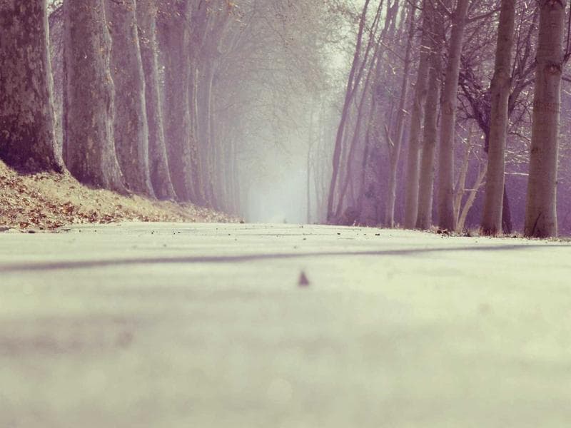 (6) JE Adams 9213 Super Vacs — Stainless