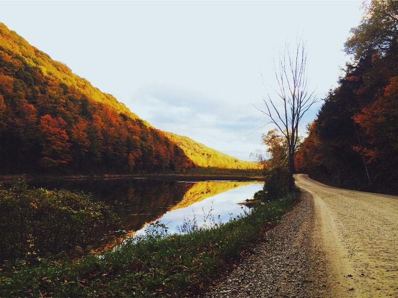 NEW JE Adams 9219 Turbo Vac — Combination