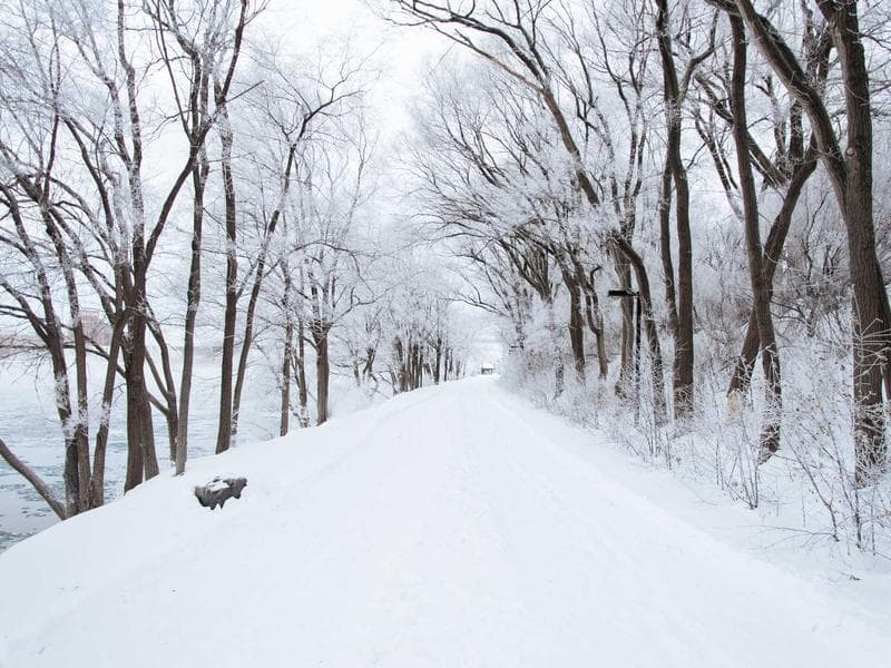 NEW Pure Aqua RO System — 5,000 GPD — CA